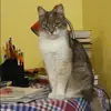 Отзыв от Нелли Большакова